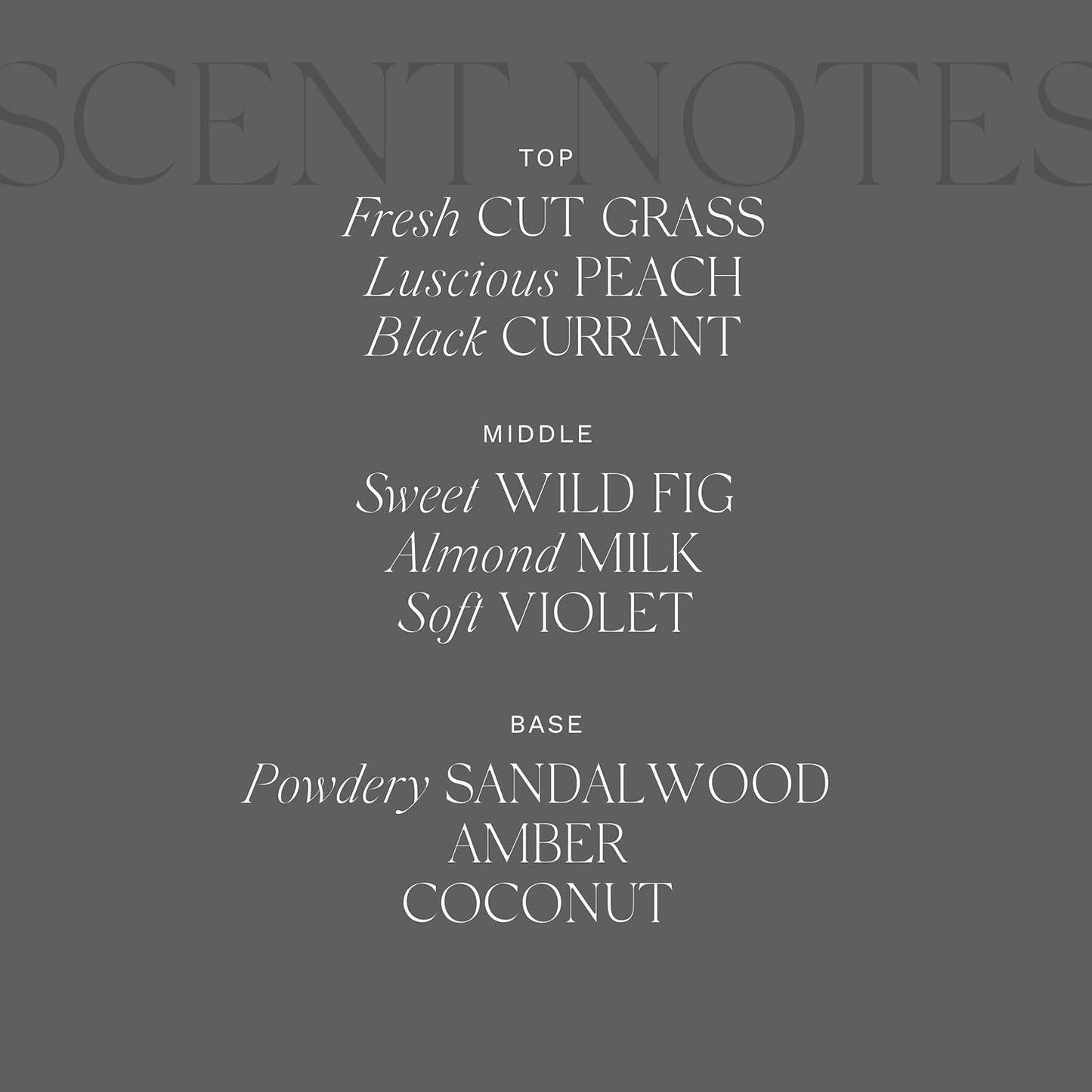 Antica Farmacista Body Moisturizer - Moisturizing Scented Lotion - Premium Body Moisturizer - Luxury Gift for Women & Men - Hand & Skin Hydration - Fig Leaf, 10 Fl Oz