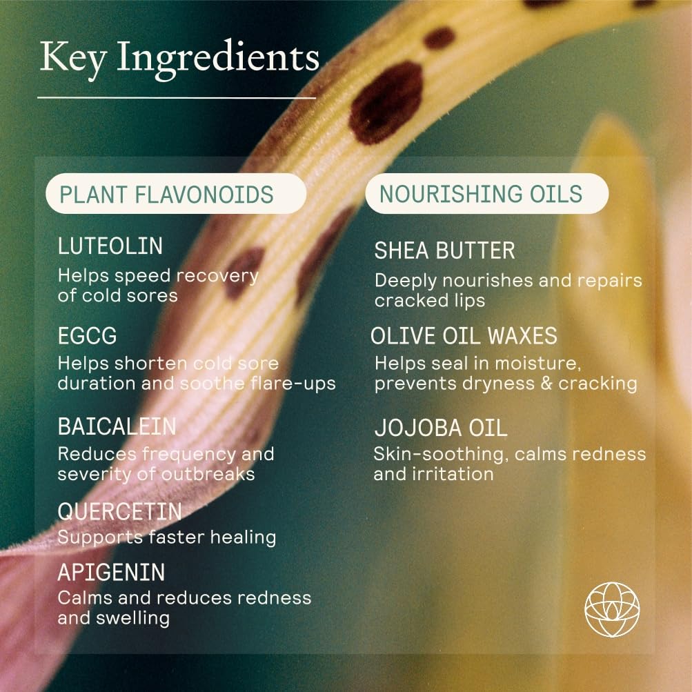 Lip Health Balm - Daily Cold Sore Relief & Recovery - Powered by 5 Plant Flavonoids & XDF Technology - Lightweight Hydrating Barrier Support for Lips - Soothing, Nurturing Formula, 5g