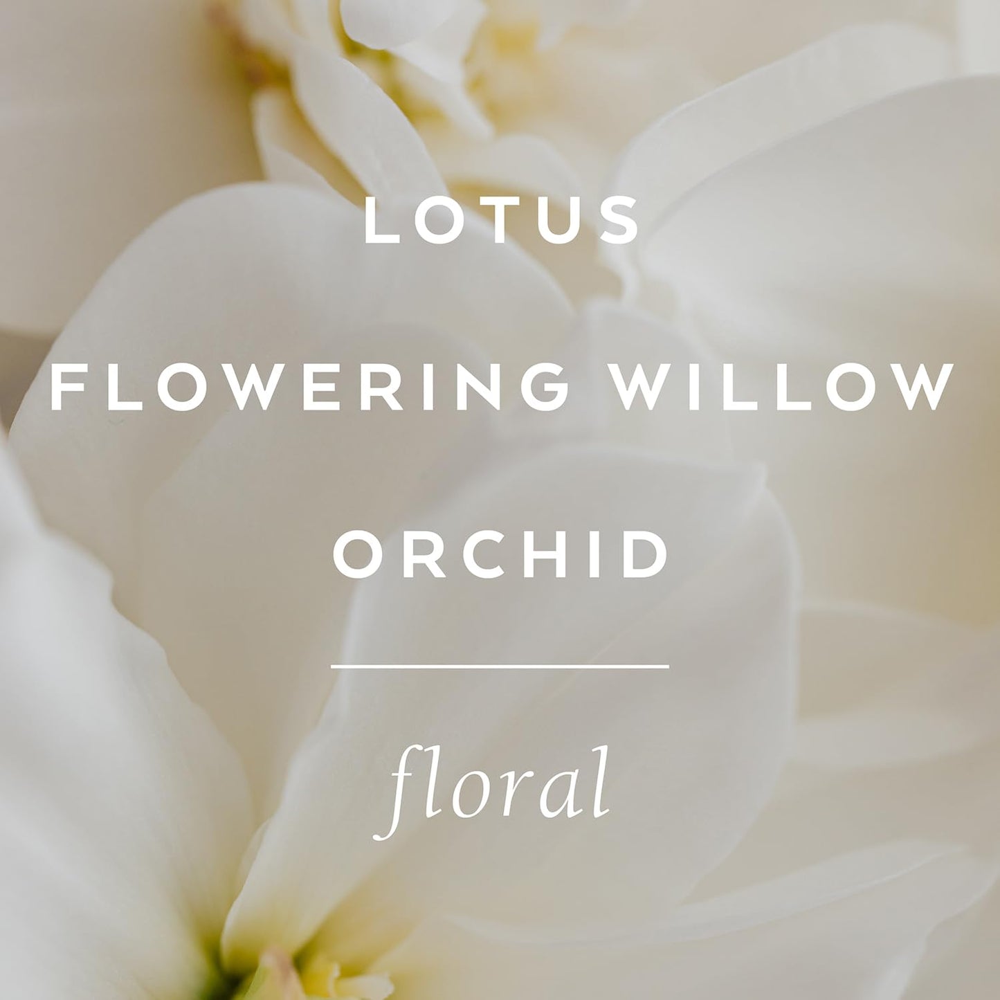 LOLLIA Imagine Handcreme, 4 oz. – Flowering Willow & Lotus – Scented Hand Cream for Women, Moisturizing Hand Lotion for Dry Hands, Shea Butter & Cocoa Butter, Quick Absorbing Lotion