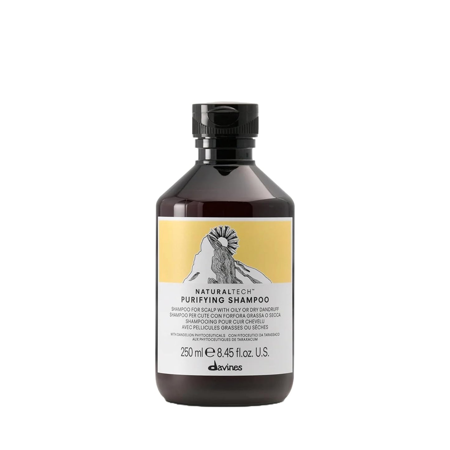 Davines Naturaltech PURIFYING Shampoo, Anti-Dandruff Protection While Gently Cleansing And Clarifying, 8.45 fl. oz.