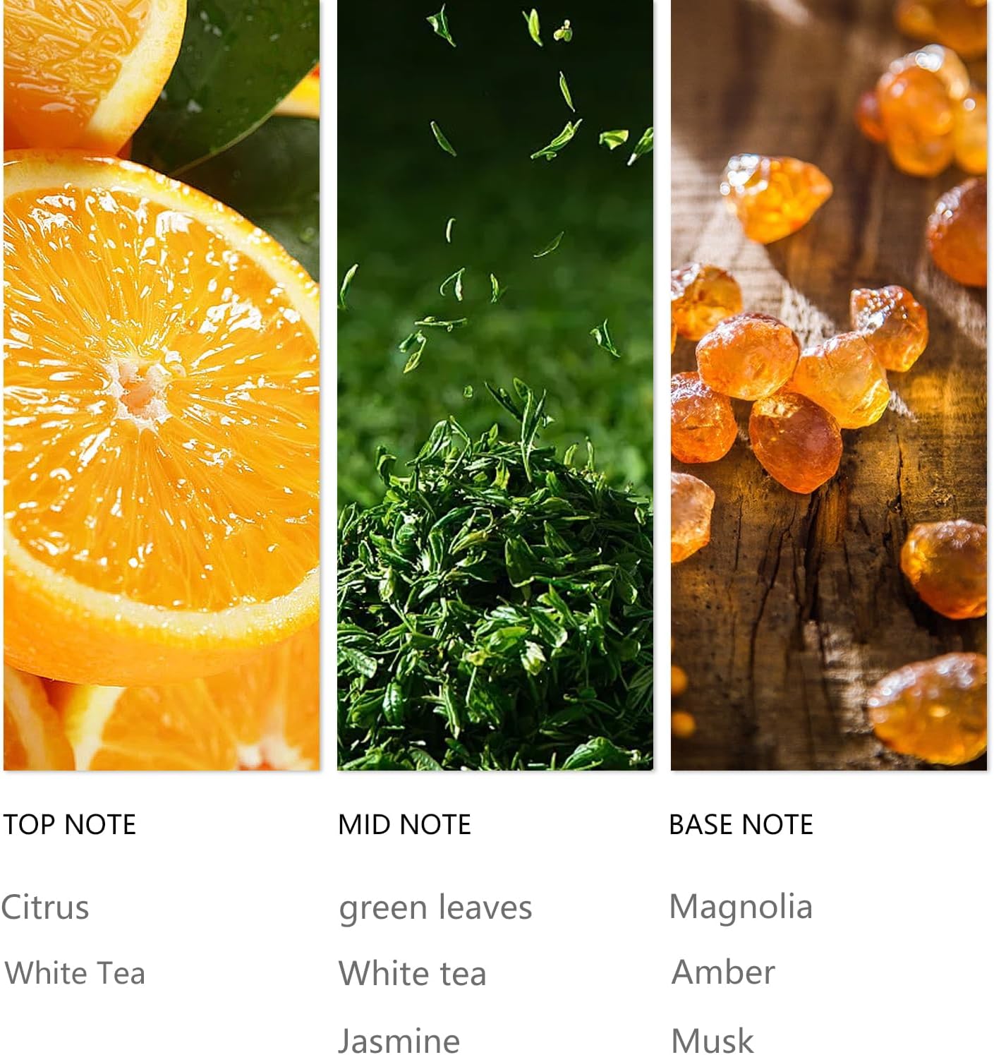 White Tea Essential Oil for Waterless Diffusers - 120ML Luxury Home & Car Air Freshener, Natural Aromatherapy Scent Refill for Office, Home, Car, Spa - Premium Aroma Scent Oils