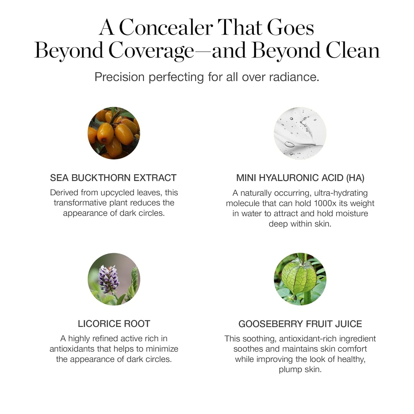 Ogee Complexion Perfecting Under Eye Concealer - Certified Organic Full Coverage Concealer - Buildable Coverage - CACAO 13.75N - Deep Cocoa (Red Undertones)