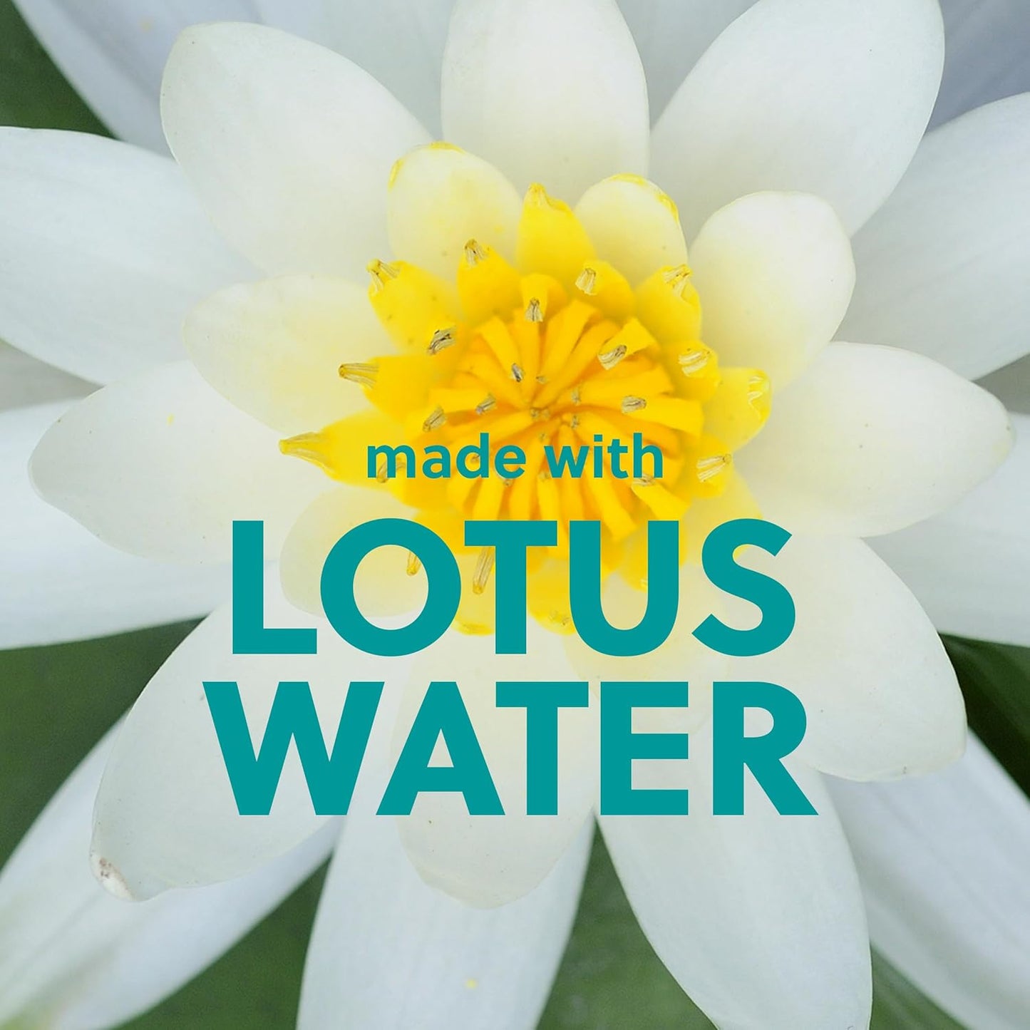 Tree Hut Lotus Water Shea Sugar Scrub | Exfoliating Body Scrub Removes Dead, Dry Skin for a Soft & Hydrated Feel | Nourishing Essential Body Care | 18 fl oz.