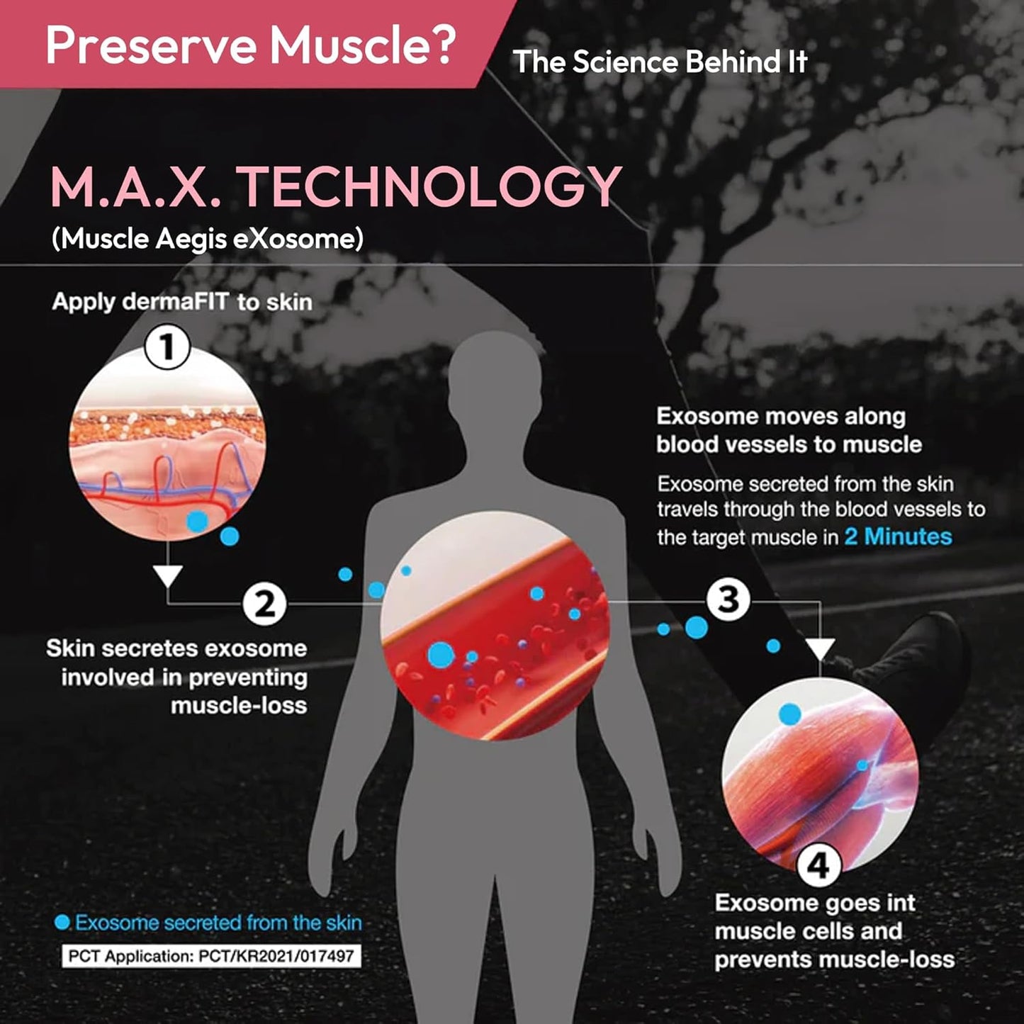 Sculpt Muscle Maintenance Body Cream - Shaped & Balanced Body Muscle Retention Cream - Safe Lose Fat Without Yo-Yo Effect, Post Workout, 200ml, Topical Analgesic for Muscle