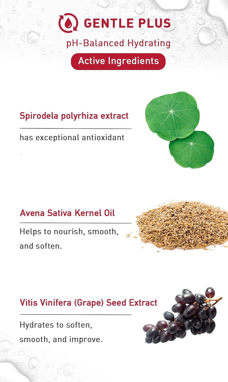 menorah Milky Hydrating Cream with Lemna & Oat – Ultra Lightweight, Soothing & Moisturizing Facial Lotion for Sensitive & Dry Skin, Daily Hydration & Comfort