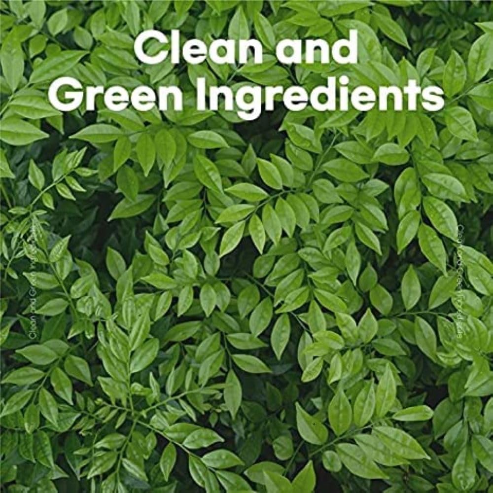 skybottle Perfumed Hand Cream, Lasting Fragrance, Moisturizing, Lime and Woody Scent with Shea Butter, 1.7 Fl. Oz (The Lime Tree)