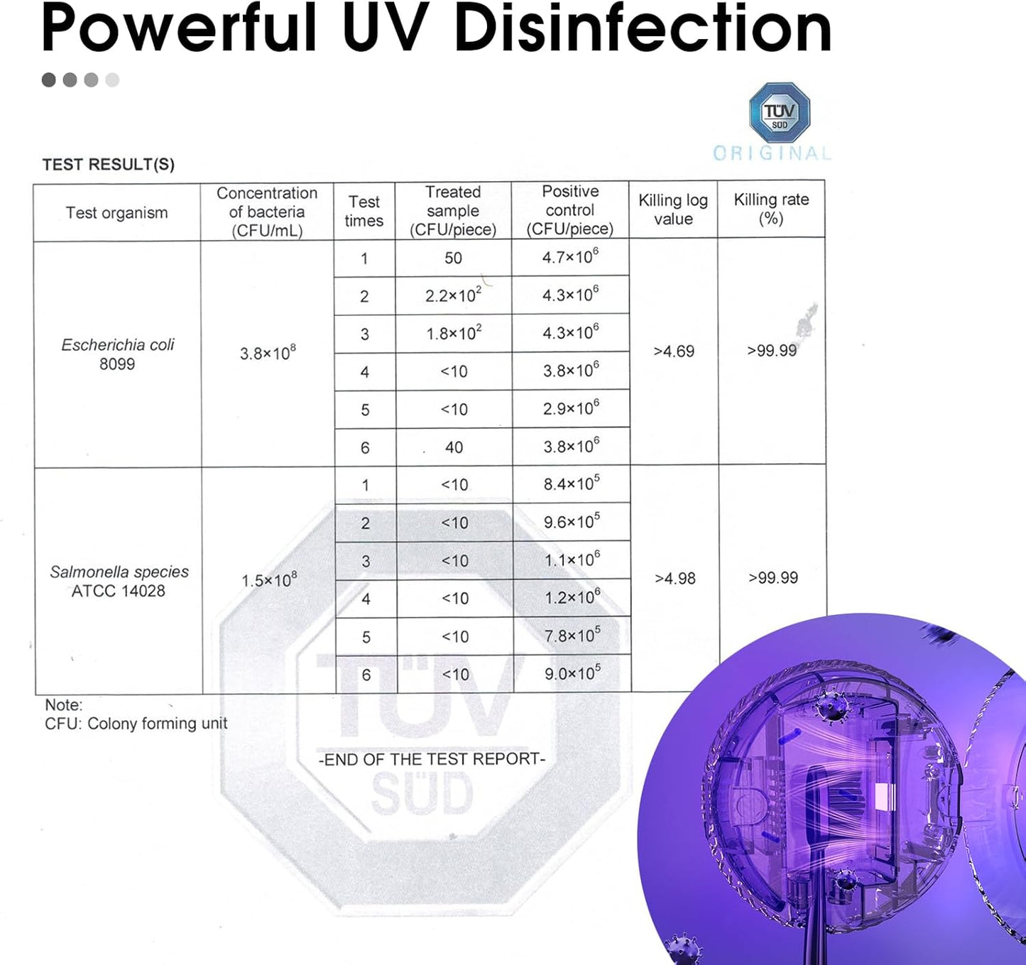 iHave Toothbrush Sanitizer – Wall-Mounted UV Toothbrush Holders for Bathrooms, Stylish Bathroom Accessories and Bathroom Decor for Home & RV, Travel Essentials, Cool Gadgets (Pink)