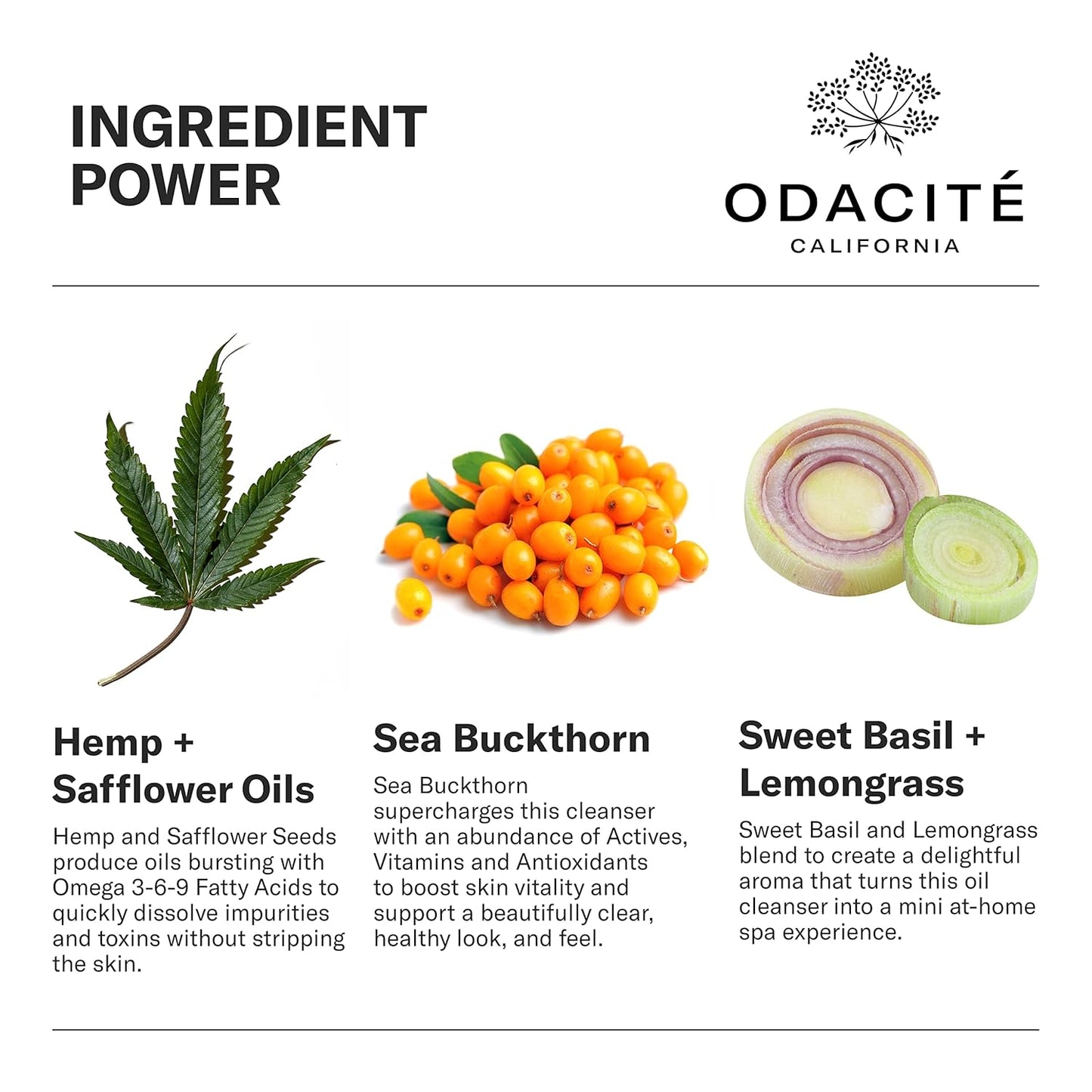 ODACITE MONTANA HARVEST Hemp + Sea Buckthorn OMEGA OIL CLEANSER