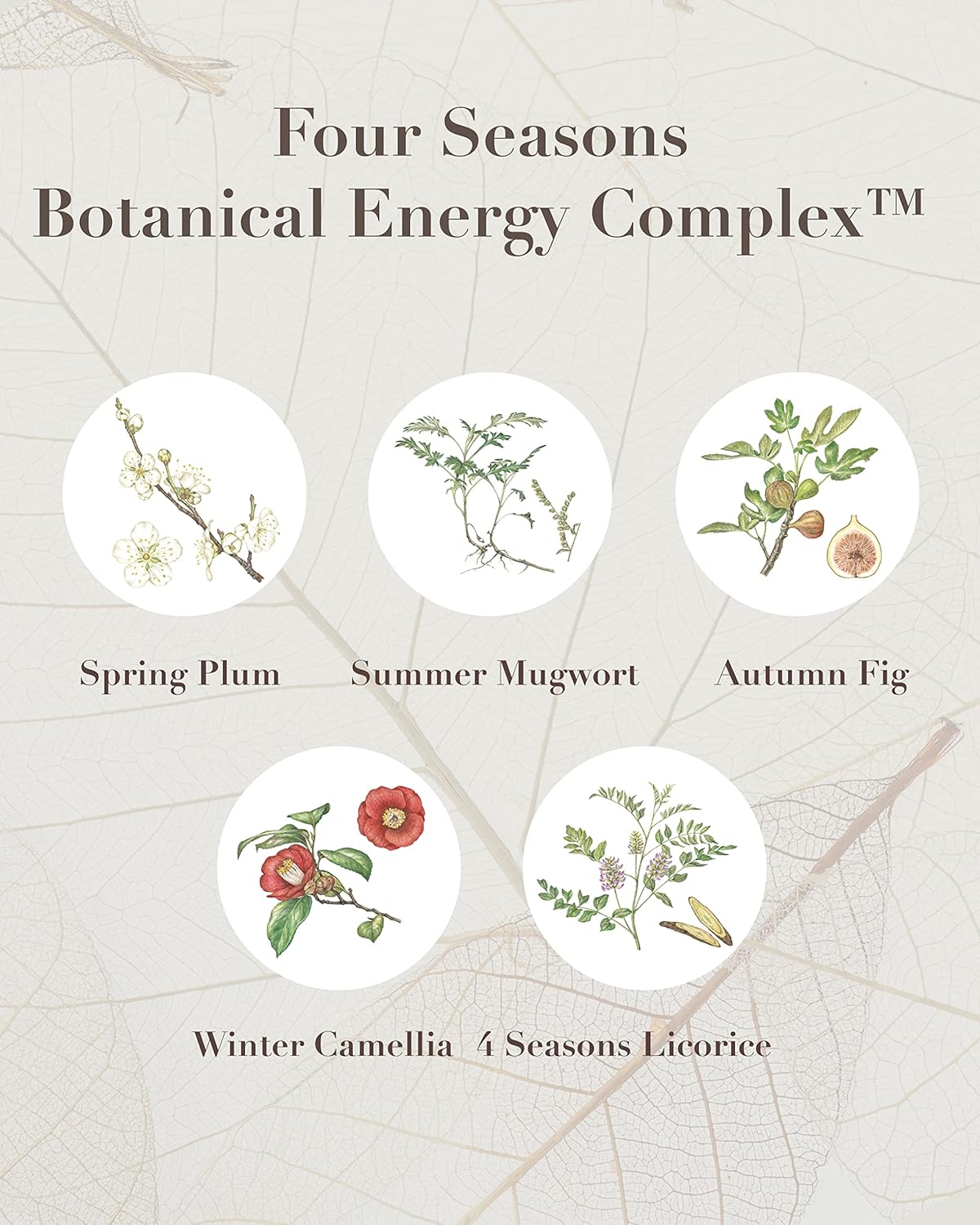 Sooryehan SAGA OF SOO BOTANICAL ENERGY AGE DELAY CREAM GIFT SET (150 ml / 5.07 Fl Oz) - Korean Skin Care by LG BEAUTY. Botanical Energy Cream, Boosting Toner, Balancing Moisturizer, Foam Cleanser.