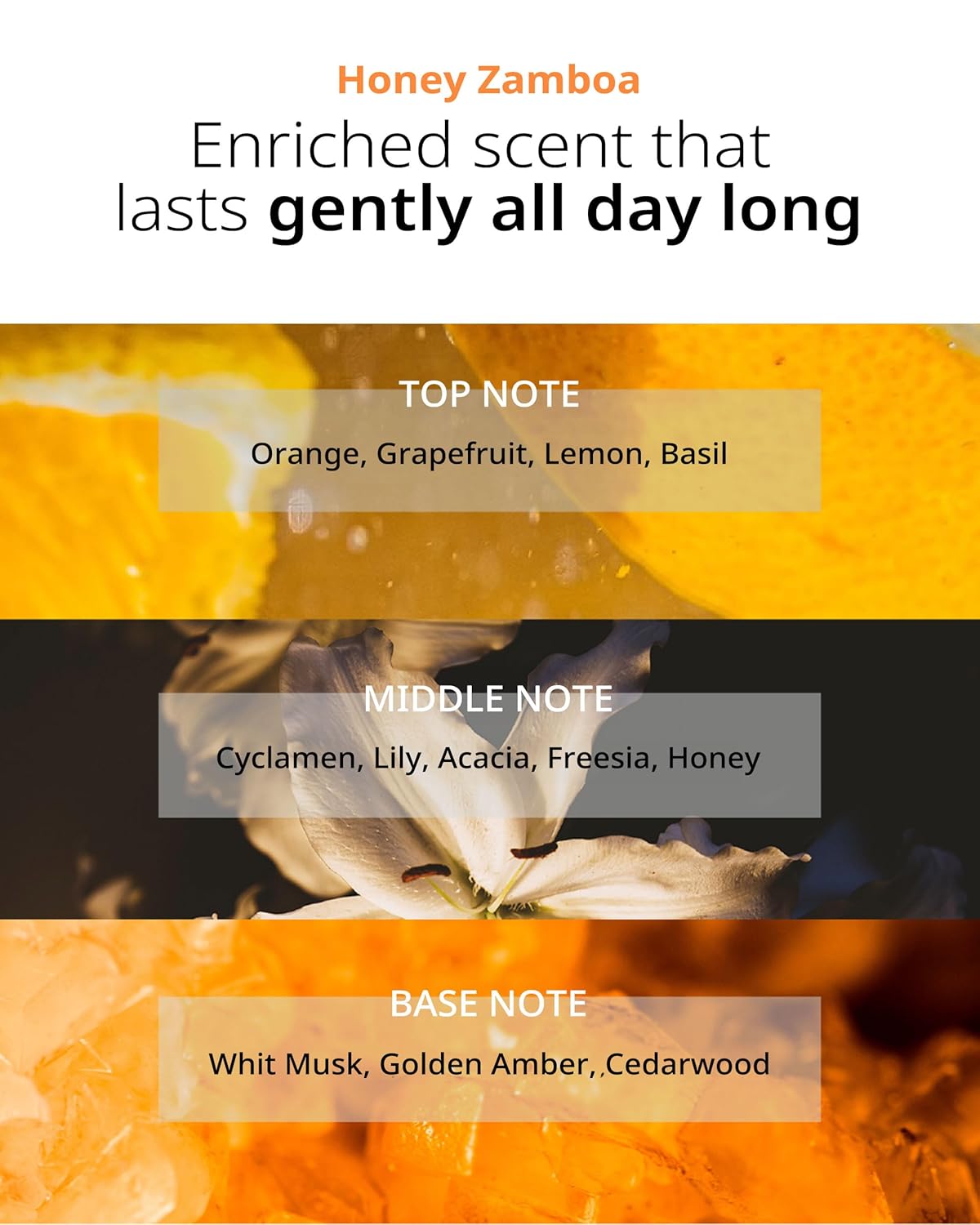 DAN DAN Nourishing Hair Conditioner - pH 5.5 Keratin & Protein Perfumed Conditioner for Frizz Control, Moisturizing, Thicker Hair - Citrus & Honey Scent - Paraben Free - 17 fl.oz