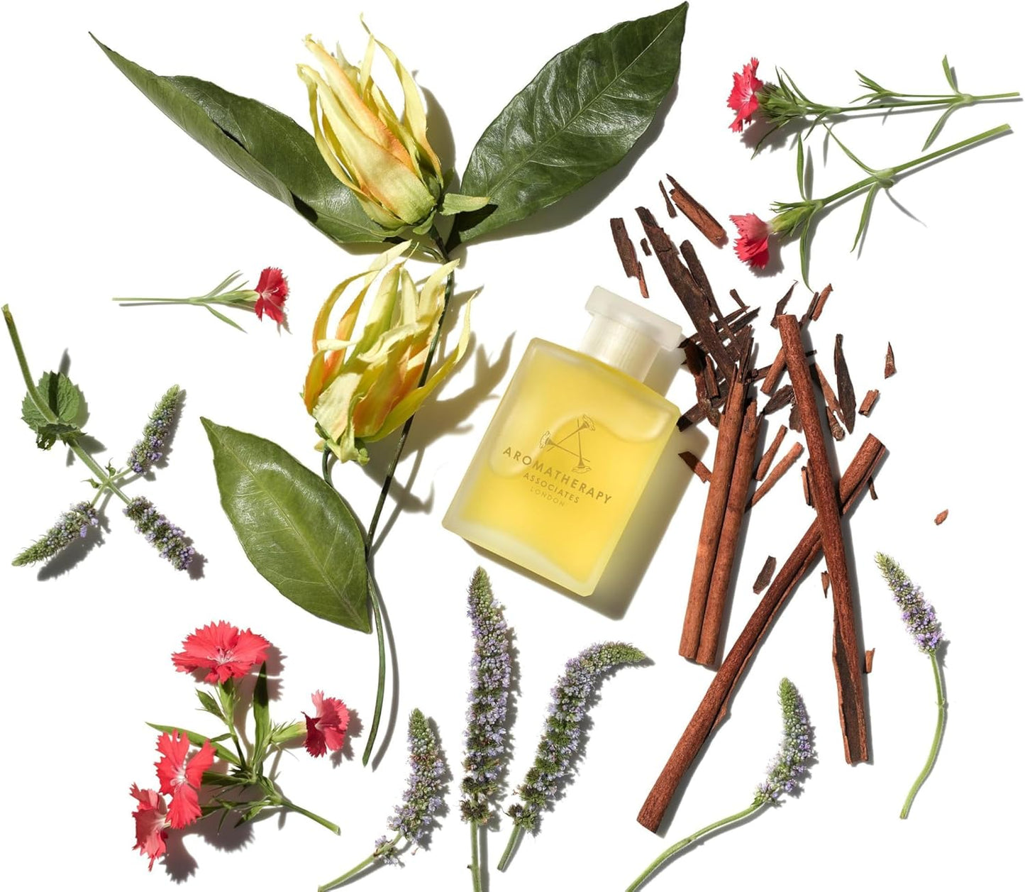 Aromatherapy Associates Revive Evening Bath and Shower Oil – Natural Hydrating Oil with 3 Essential Oils to Refresh Mind, Body, and Spirit (1.86 oz)