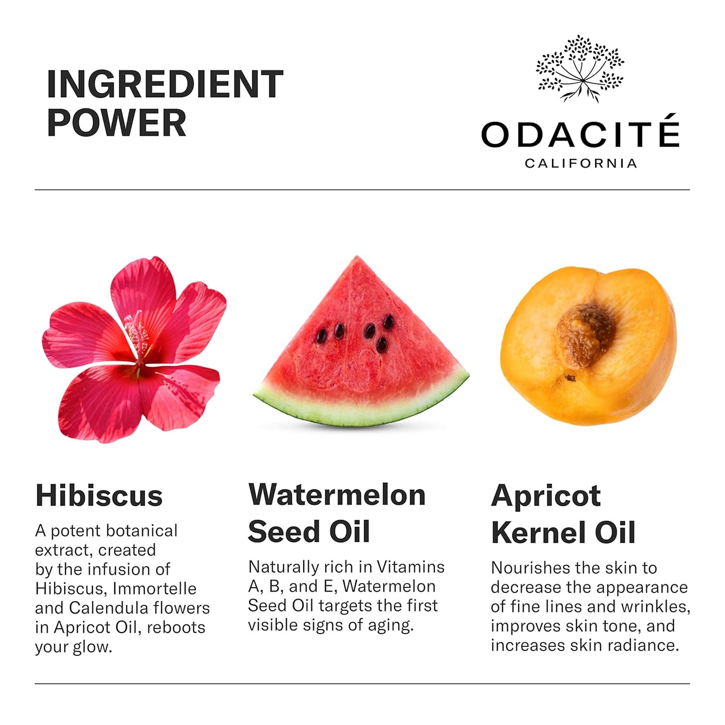 All-Embracing Serum 50ml