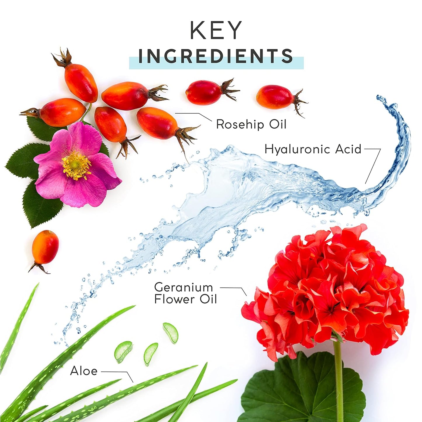 MyCHELLE Dermaceuticals Ultra Hyaluronic Hydrating Serum (1.0 Fl Oz) - Rich Hydration for Dry Skin with Vegan Hyaluronic Acid, Help Plump Skin and Help Reduce Appearance of Fine Lines and Wrinkles