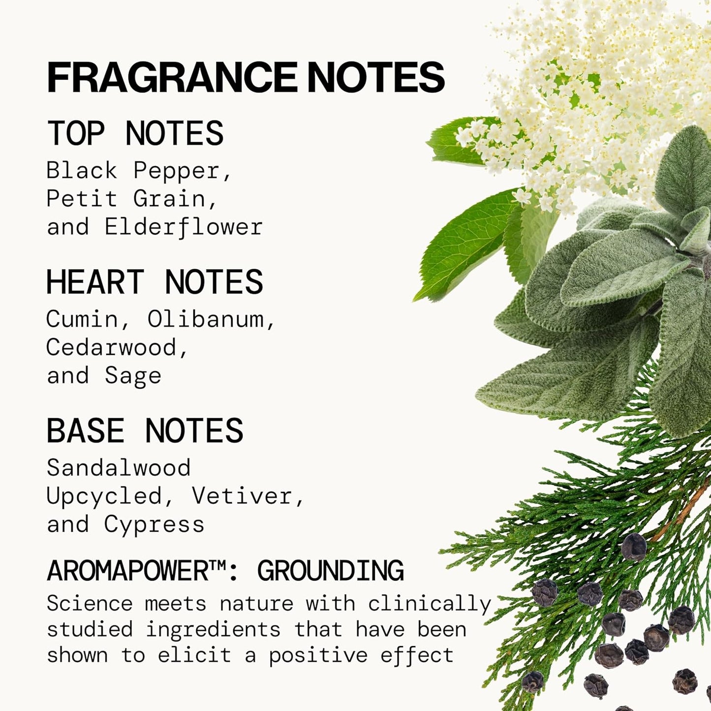 Pacifica Hair Mist Perfume & Full Body Spray for Women - Montana Sky Body Mist Fragrance w/Cedarwood, Elderflower, Black Pepper, Sage & Sandalwood Clean Beauty Alcohol-Free, Vegan & Cruelty-Free 5 oz