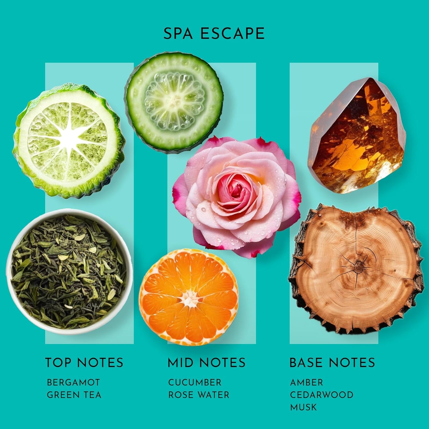 Scent Better Spa Escape Aroma Essential Oil Blend: an Aromatherapy Blend of Green Tea, Mandarin, and Cucumber for Ultrasonic Diffusers & Nebulizers (3.3 Fl Oz, 100 mL)