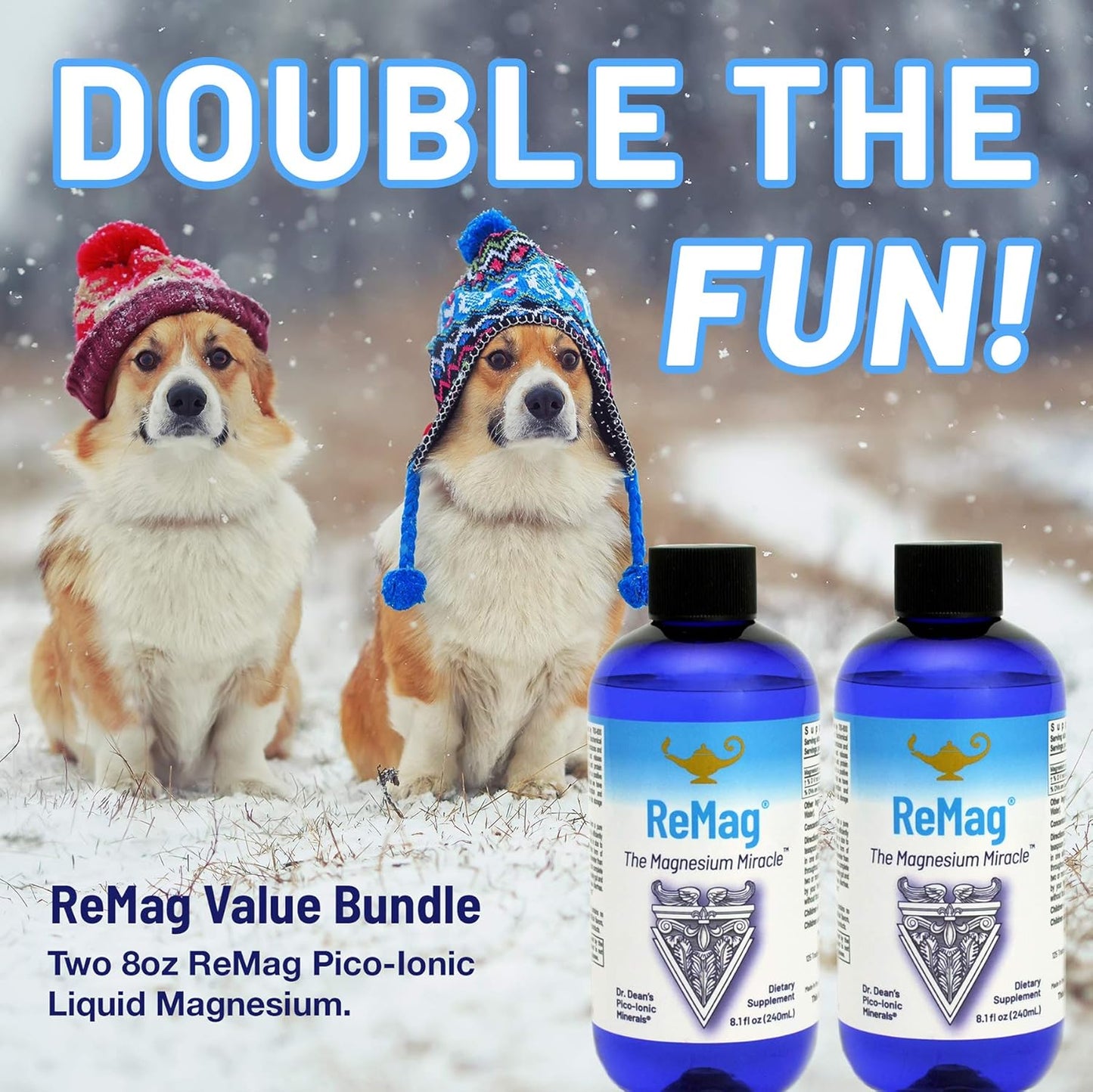 RnA ReSet ReMag – High Absorption Magnesium Chloride Liquid, 8.1 Fl Oz (2-Pack)