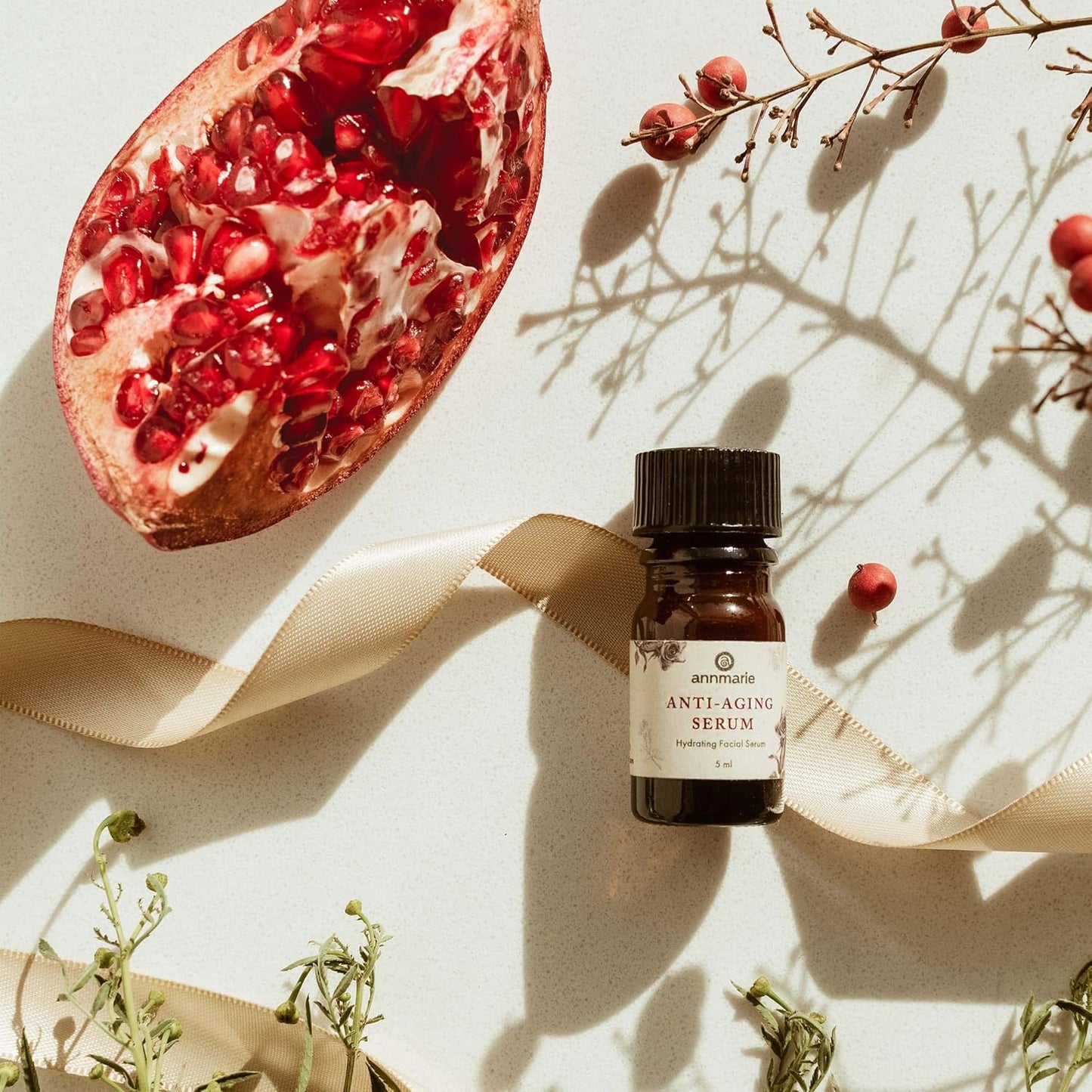 Annmarie Skin Care Clean Beauty Kit