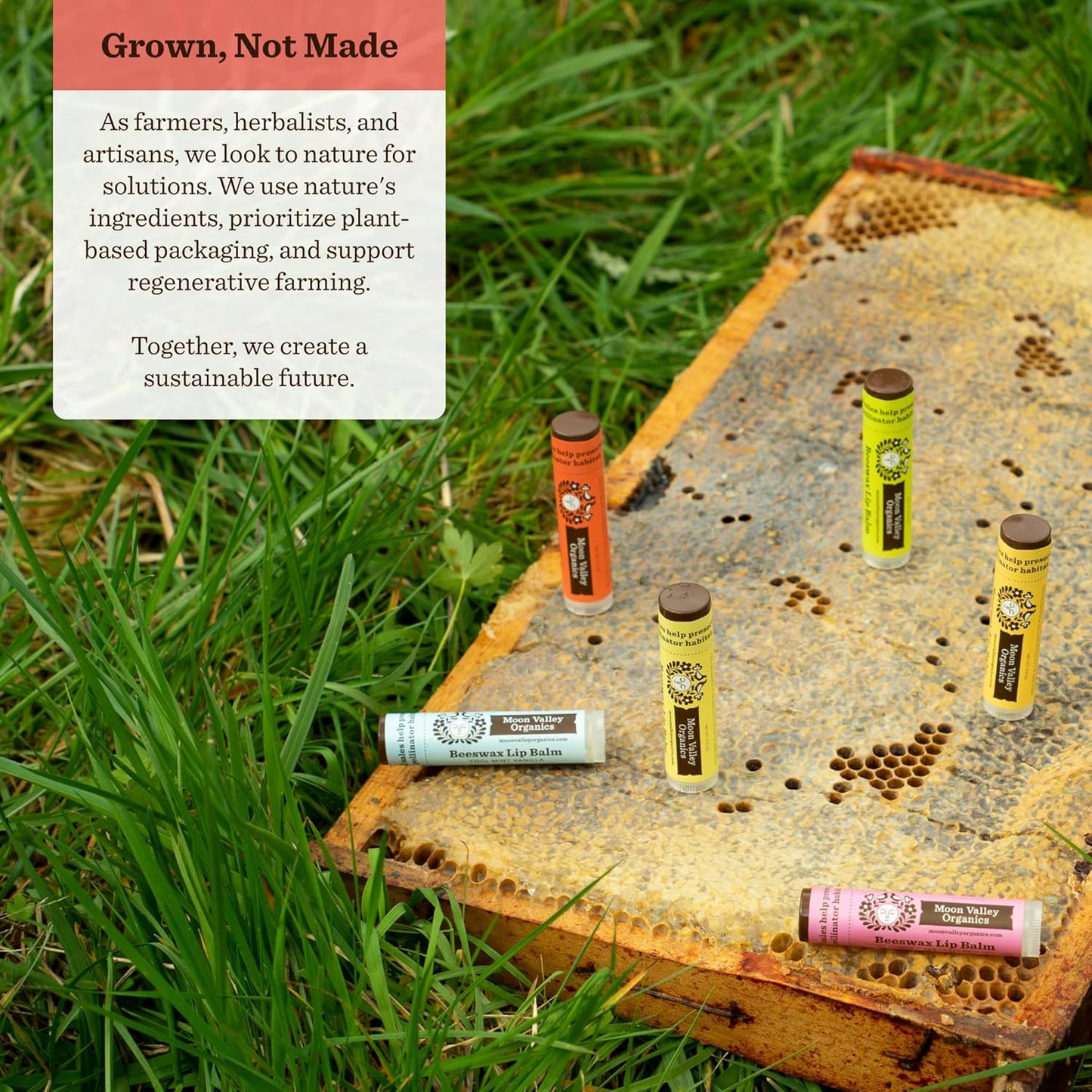 Moon Valley Organics Beeswax Lip Balm for Moisturizing Lips and Cuticles (ZINGY CINNAMON, 4 Count (Pack of 1))